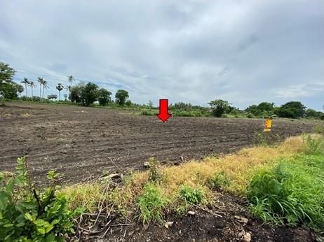 ใช่ 💟 ที่ดินเปล่า ลพบุรี 💟 รูปที่ 3