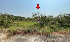 ใช่ 💖 ที่ดิน เมืองลำพูน ราคาพิเศษ! 💖 รูปที่ 1