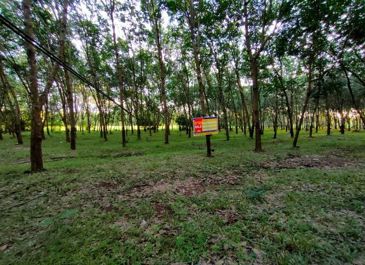 ใช่ 💖 ที่ดิน บ้านแพง ราคาพิเศษ! 💖