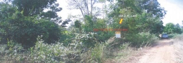 ใช่ 💖 ที่ดิน ปักธงชัย ราคาพิเศษ! 💖 รูปที่ 3