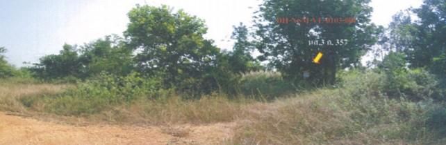 ใช่ 💖 ที่ดิน ปักธงชัย ราคาพิเศษ! 💖 รูปที่ 2