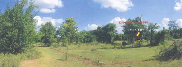 💖 ที่ดิน ปักธงชัย ราคาพิเศษ! 💖