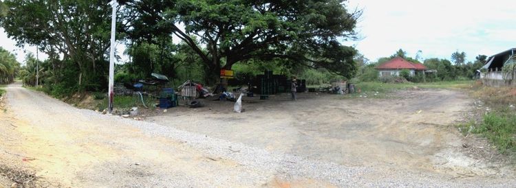 ใช่ 💖 ที่ดิน เมืองประจวบคีรีขันธ์ ราคาพิเศษ! 💖