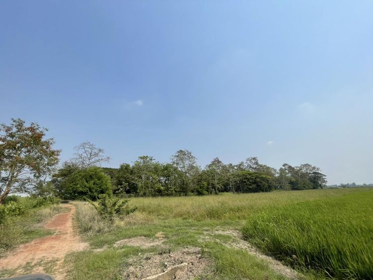 āđāļāđ ð āļāļĩāđāļāļīāļ āđāļĄāļ·āļāļāļāļīāļĐāļāļļāđāļĨāļ āļĢāļēāļāļēāļāļīāđāļĻāļĐ! ð āļĢāļđāļāļāļĩāđ 3