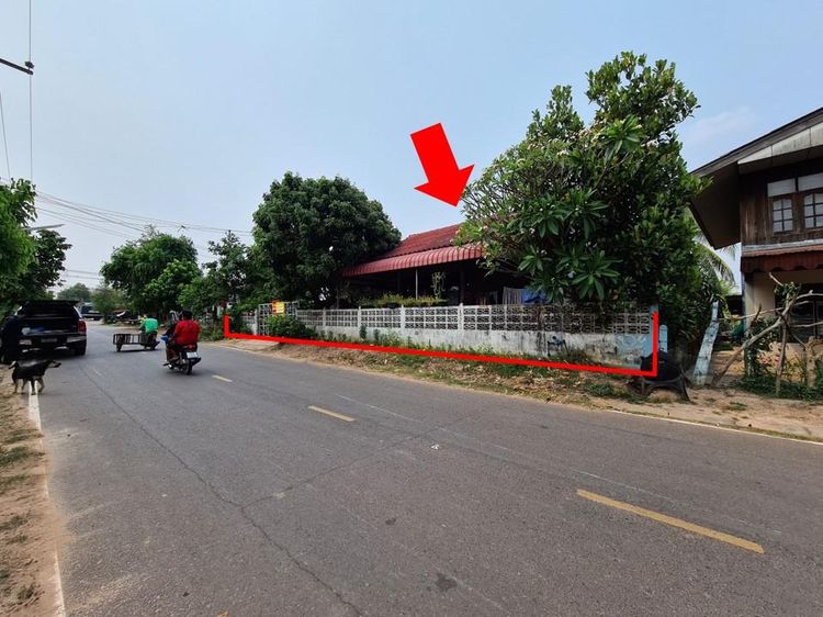 ใช่ 💖 ที่ดิน โพนทอง ราคาพิเศษ! 💖 รูปที่ 3