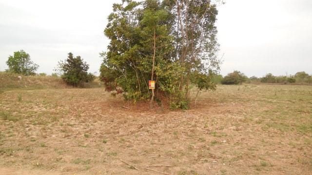 💖 ที่ดิน น้ำพอง ราคาพิเศษ! 💖