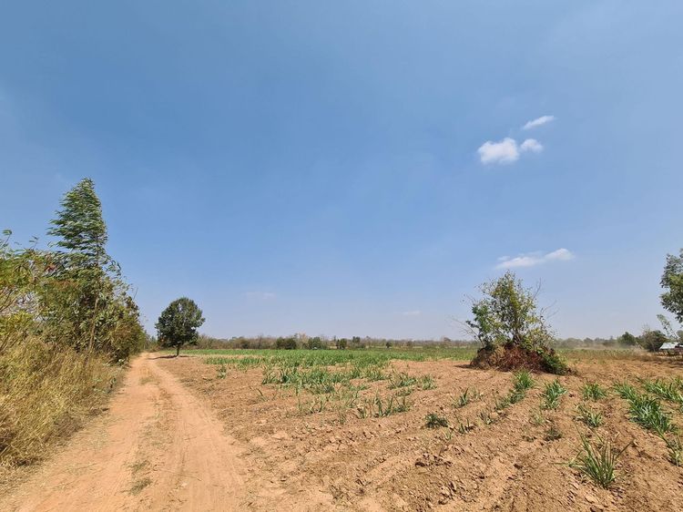 ใช่ 💖 ที่ดิน น้ำพอง ราคาพิเศษ! 💖 รูปที่ 3