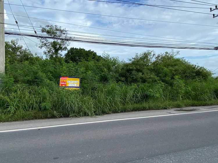 ใช่ 💖 ที่ดิน วังน้อย ราคาพิเศษ! 💖 รูปที่ 3