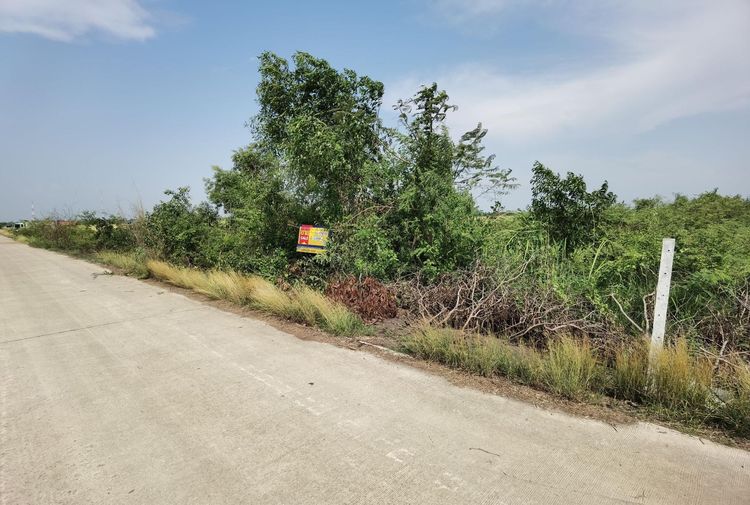 ใช่ 💖 ที่ดิน วังน้อย ราคาพิเศษ! 💖 รูปที่ 4