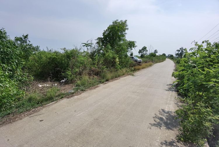 ใช่ 💖 ที่ดิน วังน้อย ราคาพิเศษ! 💖 รูปที่ 3