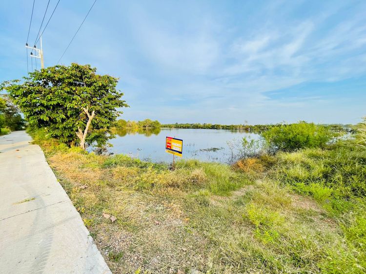 💖 ที่ดิน บางไทร ราคาพิเศษ! 💖 รูปที่ 3