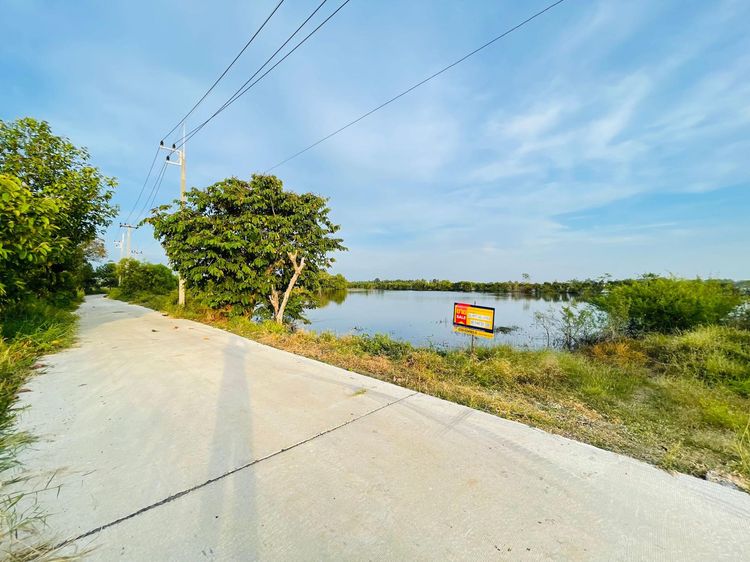 💖 ที่ดิน บางไทร ราคาพิเศษ! 💖 รูปที่ 4