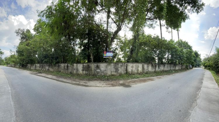 ใช่ 💖 ที่ดิน หางดง ราคาพิเศษ! 💖 รูปที่ 2