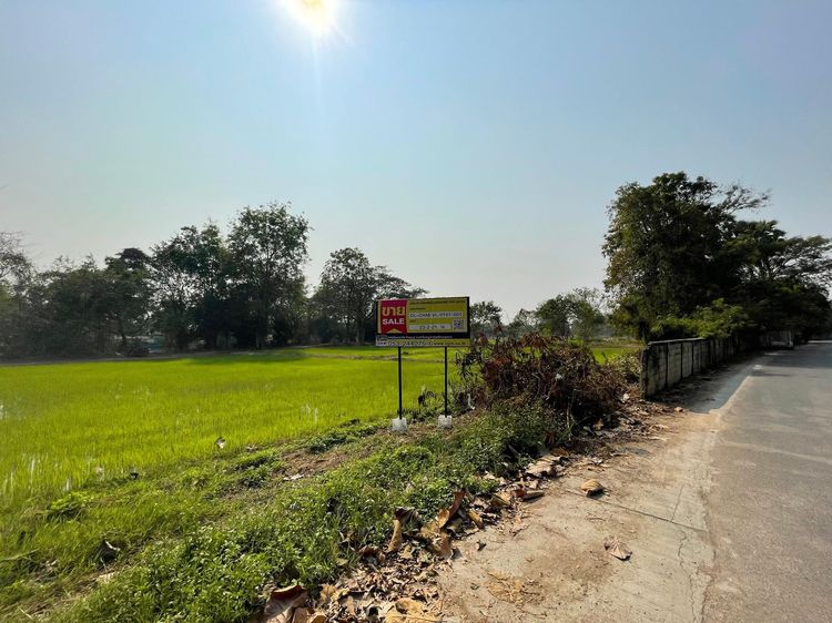 💖 ที่ดิน หางดง ราคาพิเศษ! 💖