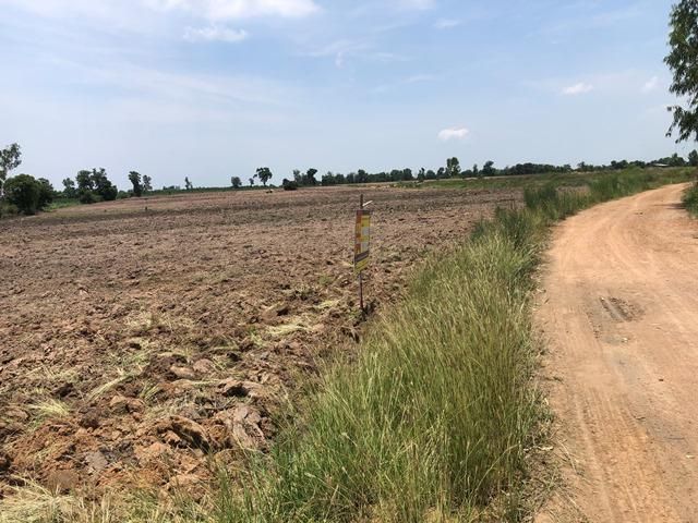 ใช่ 💖 ที่ดิน เนินขาม ราคาพิเศษ! 💖 รูปที่ 3