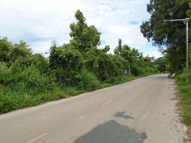 ใช่ 💖 ที่ดิน เมืองลำปาง ราคาพิเศษ! 💖 รูปที่ 2