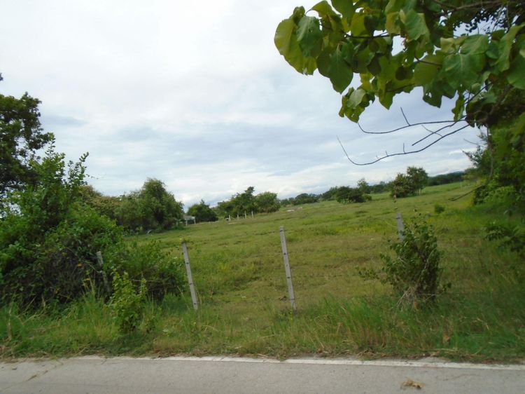 ใช่ 💖 ที่ดิน เมืองลำปาง ราคาพิเศษ! 💖 รูปที่ 4