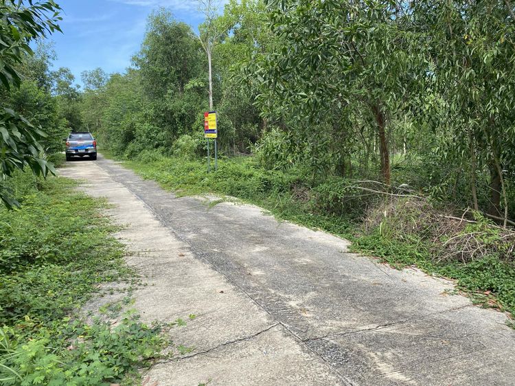 ใช่ 💖 ที่ดิน บ้านนา ราคาพิเศษ! 💖 รูปที่ 2