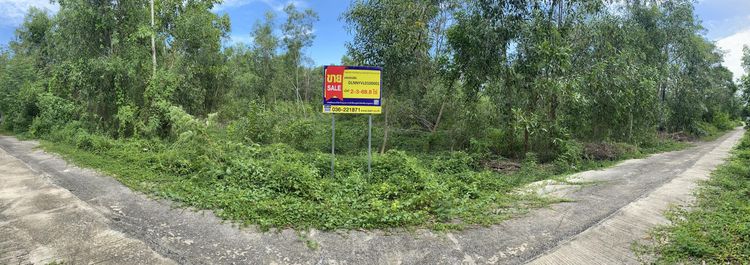 ใช่ 💖 ที่ดิน บ้านนา ราคาพิเศษ! 💖 รูปที่ 4
