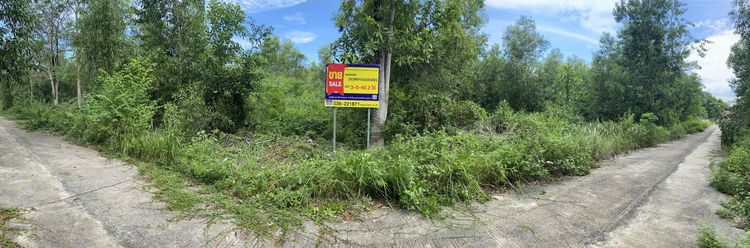 ใช่ 💖 ที่ดิน บ้านนา ราคาพิเศษ! 💖 รูปที่ 4