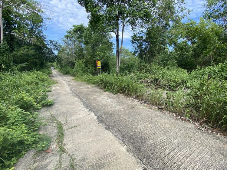 ใช่ 💖 ที่ดิน บ้านนา ราคาพิเศษ! 💖 รูปที่ 2