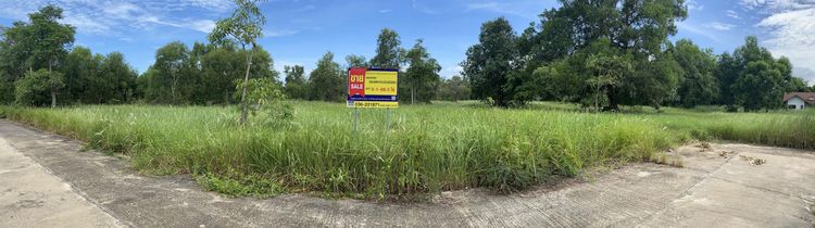 ใช่ 💖 ที่ดิน บ้านนา ราคาพิเศษ! 💖 รูปที่ 4