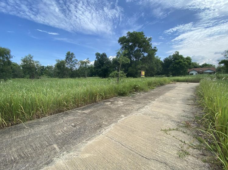 ใช่ 💖 ที่ดิน บ้านนา ราคาพิเศษ! 💖 รูปที่ 3