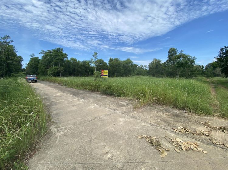 ใช่ 💖 ที่ดิน บ้านนา ราคาพิเศษ! 💖 รูปที่ 2