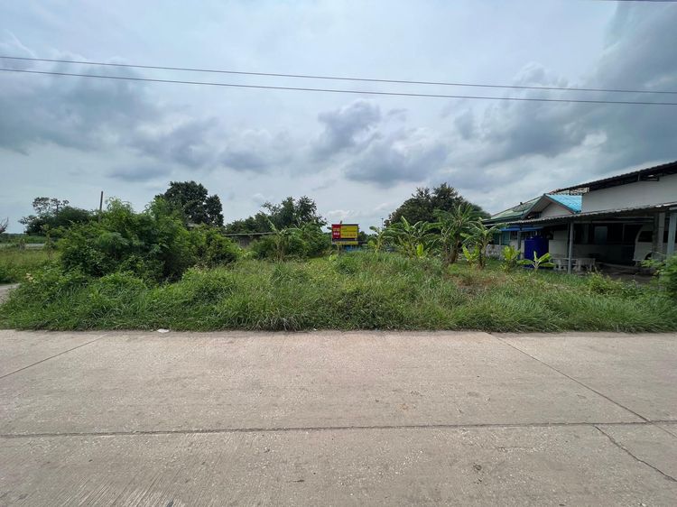 ใช่ 💖 ที่ดิน องครักษ์ ราคาพิเศษ! 💖 รูปที่ 2