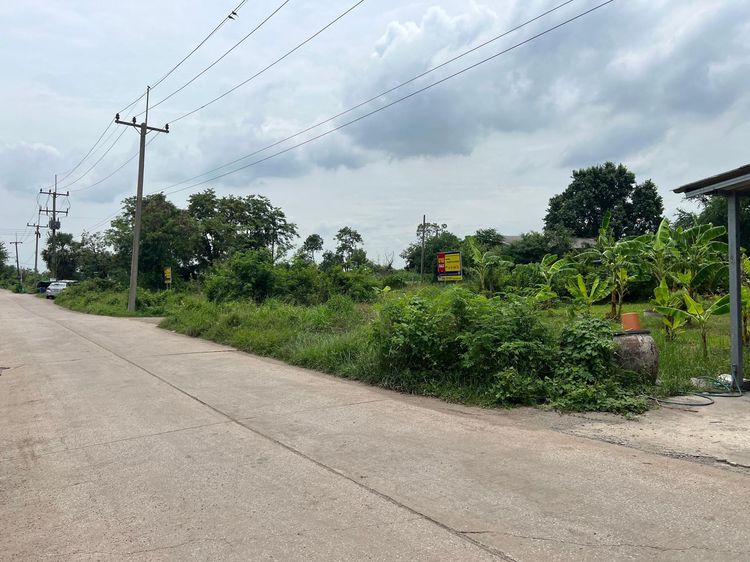 ใช่ 💖 ที่ดิน องครักษ์ ราคาพิเศษ! 💖 รูปที่ 4