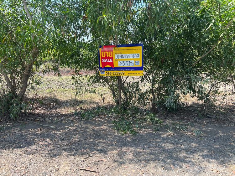 ใช่ 💖 ที่ดิน องครักษ์ ราคาพิเศษ! 💖