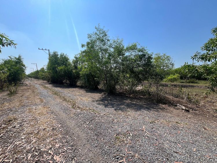 ใช่ 💖 ที่ดิน องครักษ์ ราคาพิเศษ! 💖 รูปที่ 2