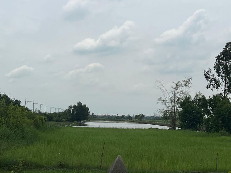 ใช่ 💖 ที่ดิน องครักษ์ ราคาพิเศษ! 💖 รูปที่ 4