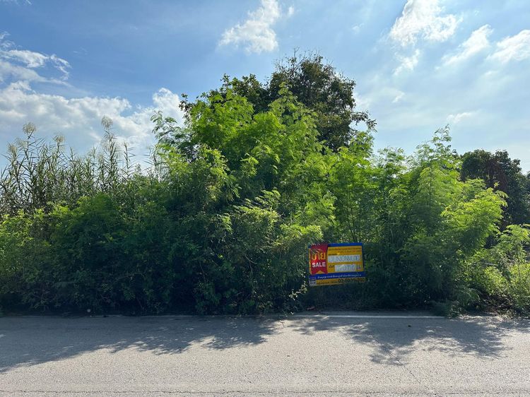 💖 ที่ดิน ไทรน้อย ราคาพิเศษ! 💖