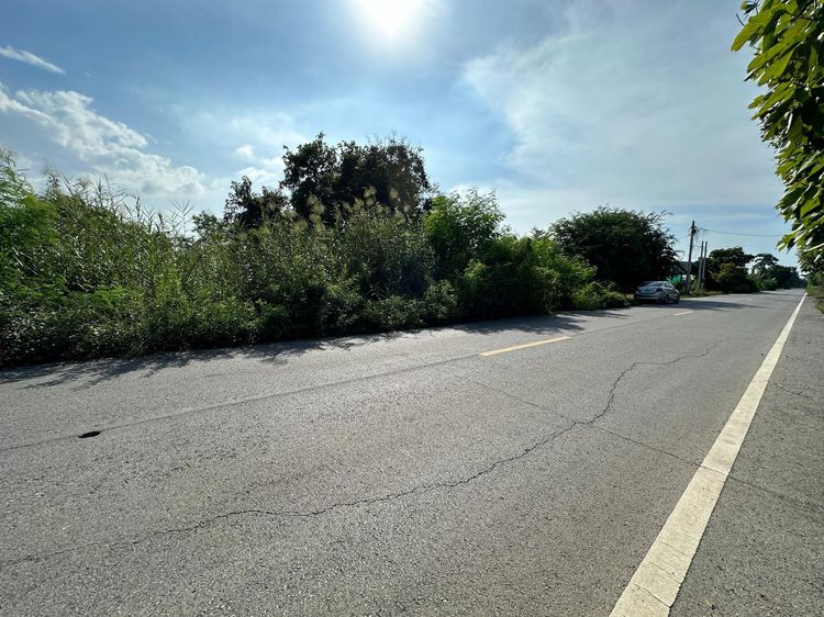 ใช่ 💖 ที่ดิน ไทรน้อย ราคาพิเศษ! 💖 รูปที่ 3