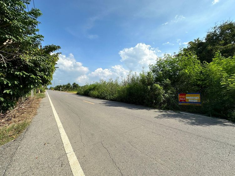 ใช่ 💖 ที่ดิน ไทรน้อย ราคาพิเศษ! 💖 รูปที่ 2