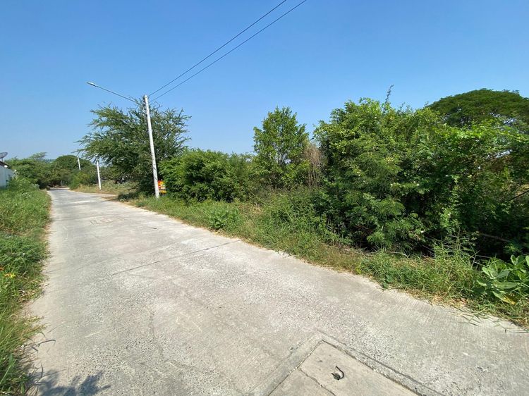 ใช่ 💖 ที่ดิน โคกสำโรง ราคาพิเศษ! 💖 รูปที่ 4