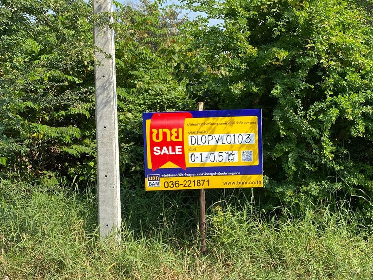 ใช่ 💖 ที่ดิน โคกสำโรง ราคาพิเศษ! 💖