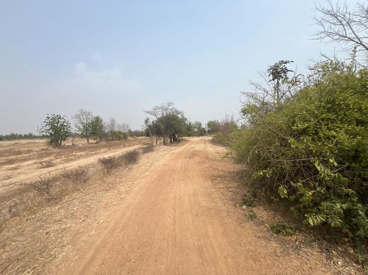 ใช่ 💖 ที่ดิน ดอนเจดีย์ ราคาพิเศษ! 💖 รูปที่ 3