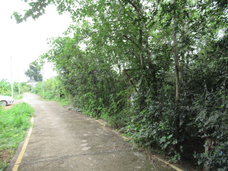 ใช่ 💖 ที่ดิน เมืองลำปาง ราคาพิเศษ! 💖 รูปที่ 3