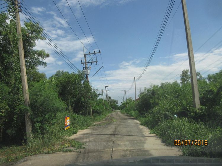 ใช่ 💖 ที่ดิน หนองเสือ ราคาพิเศษ! 💖 รูปที่ 3