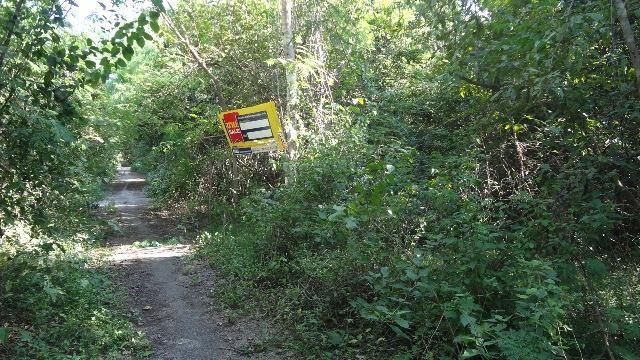 💖 ที่ดิน เกาะคา ราคาพิเศษ! 💖