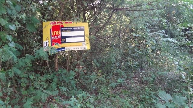 💖 ที่ดิน เกาะคา ราคาพิเศษ! 💖