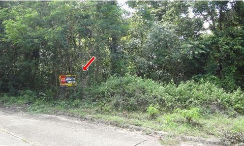 ใช่ 💖 ที่ดิน เกาะคา ราคาพิเศษ! 💖