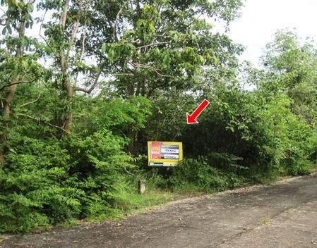 💖 ที่ดิน เกาะคา ราคาพิเศษ! 💖