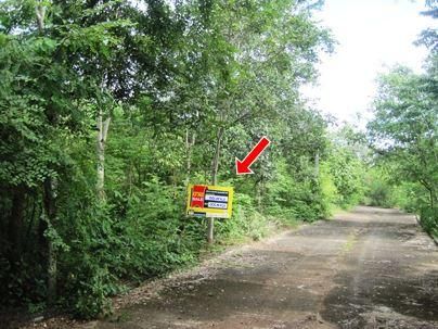 ใช่ 💖 ที่ดิน เกาะคา ราคาพิเศษ! 💖