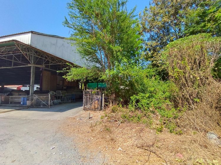 ใช่ 💖 ที่ดิน ดอนเจดีย์ ราคาพิเศษ! 💖 รูปที่ 3