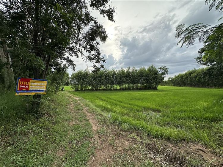 💖 ที่ดิน ปักธงชัย ราคาพิเศษ! 💖