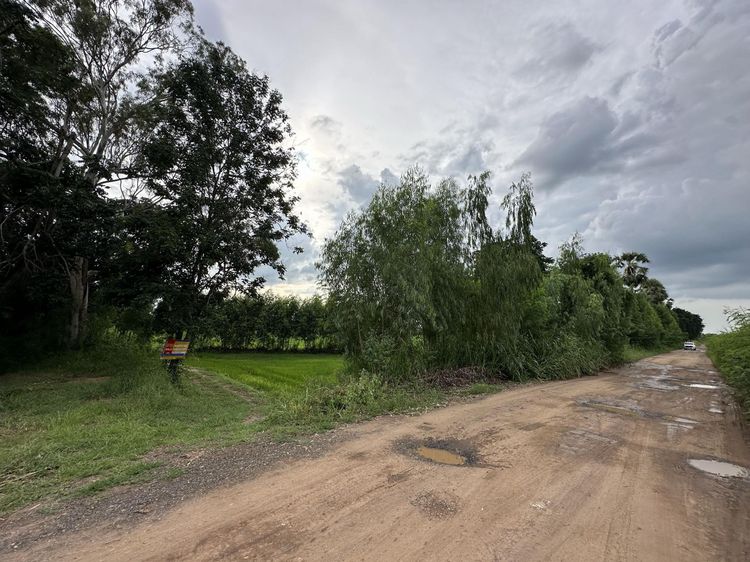 ใช่ 💖 ที่ดิน ปักธงชัย ราคาพิเศษ! 💖 รูปที่ 4