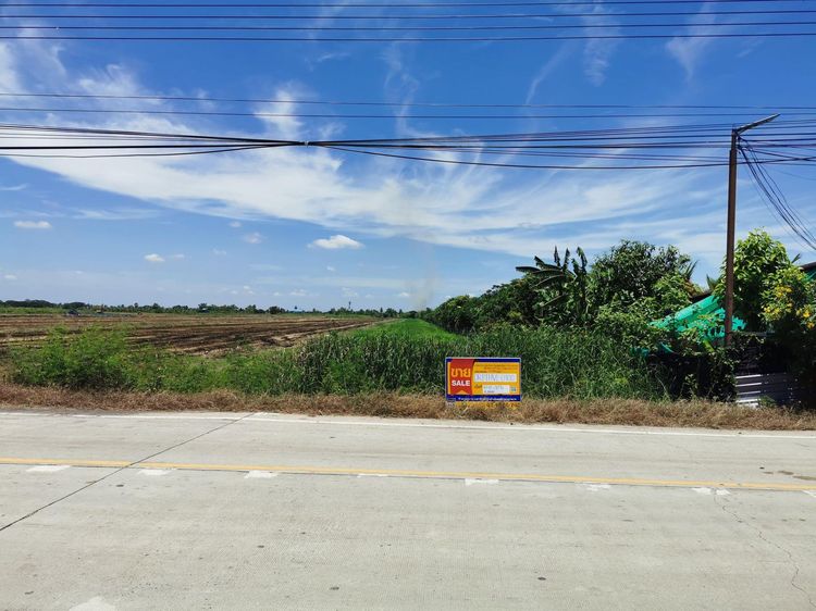 ใช่ 💖 ที่ดิน ลาดหลุมแก้ว ราคาพิเศษ! 💖 รูปที่ 4